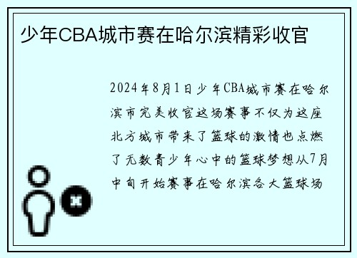 少年CBA城市赛在哈尔滨精彩收官